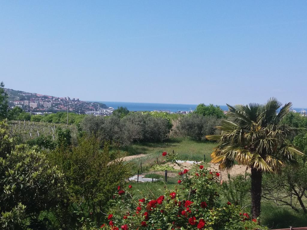 Peaceful View Apartment Koper Eksteriør bilde